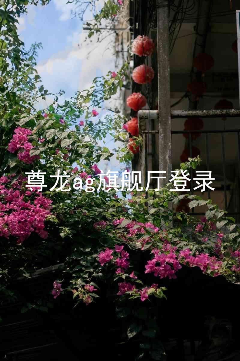 尊龙ag旗舰厅登录