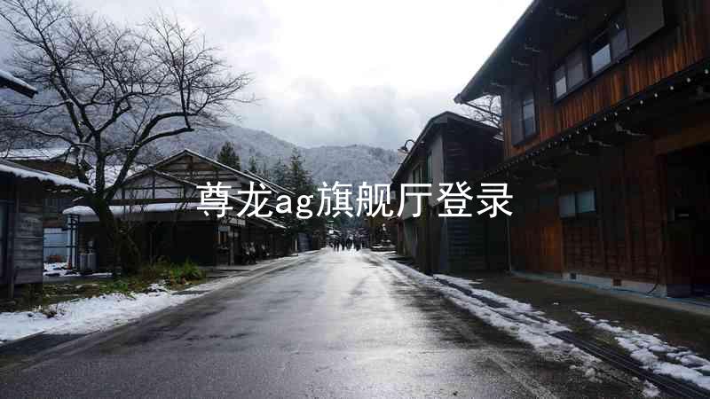 尊龙ag旗舰厅登录