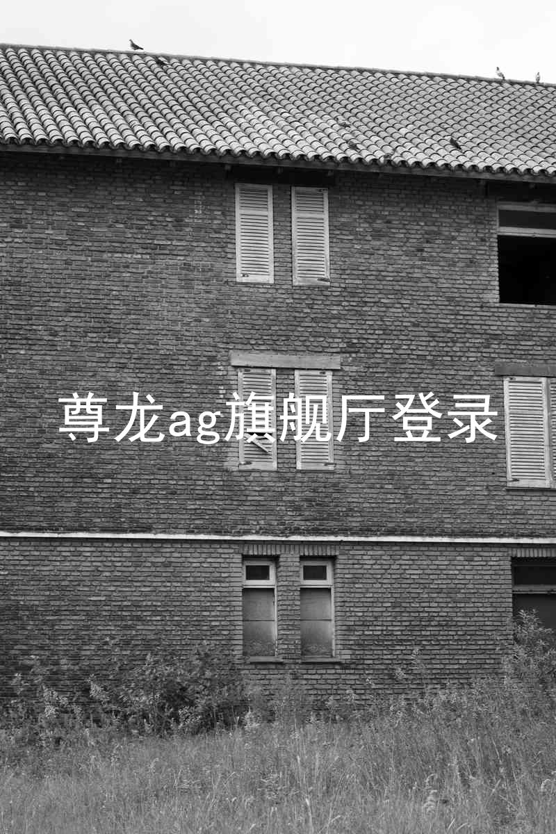 尊龙ag旗舰厅登录